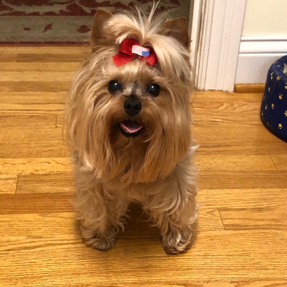 Meet your Posher, Roxane - Picture 4 of 4